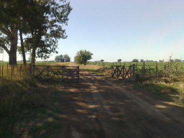 Venta